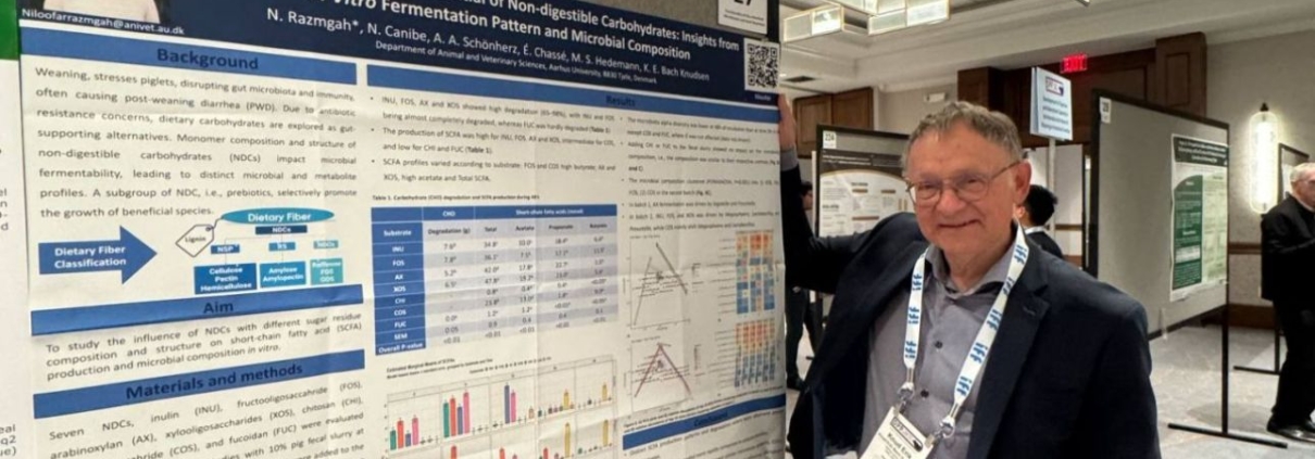 WhatsApp-Image-2025-08-09-at-11.20.27