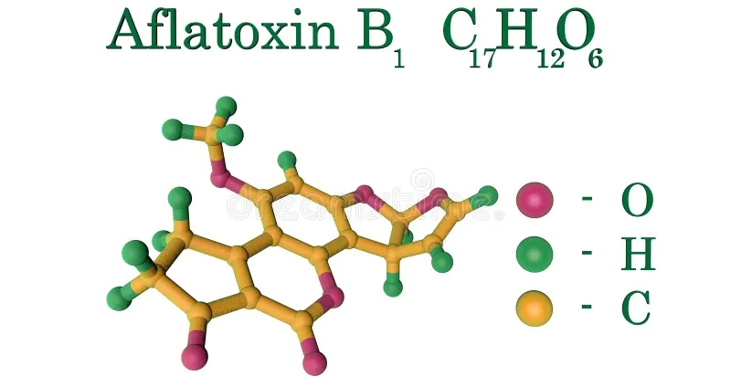 molecule-aflatoxin-b-carcinogenic-toxin-produced-fungi-aspergillus-atoms-represented-as-spheres-color-coding-oxygen-139563304